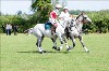 UKPA NC SAT_2676